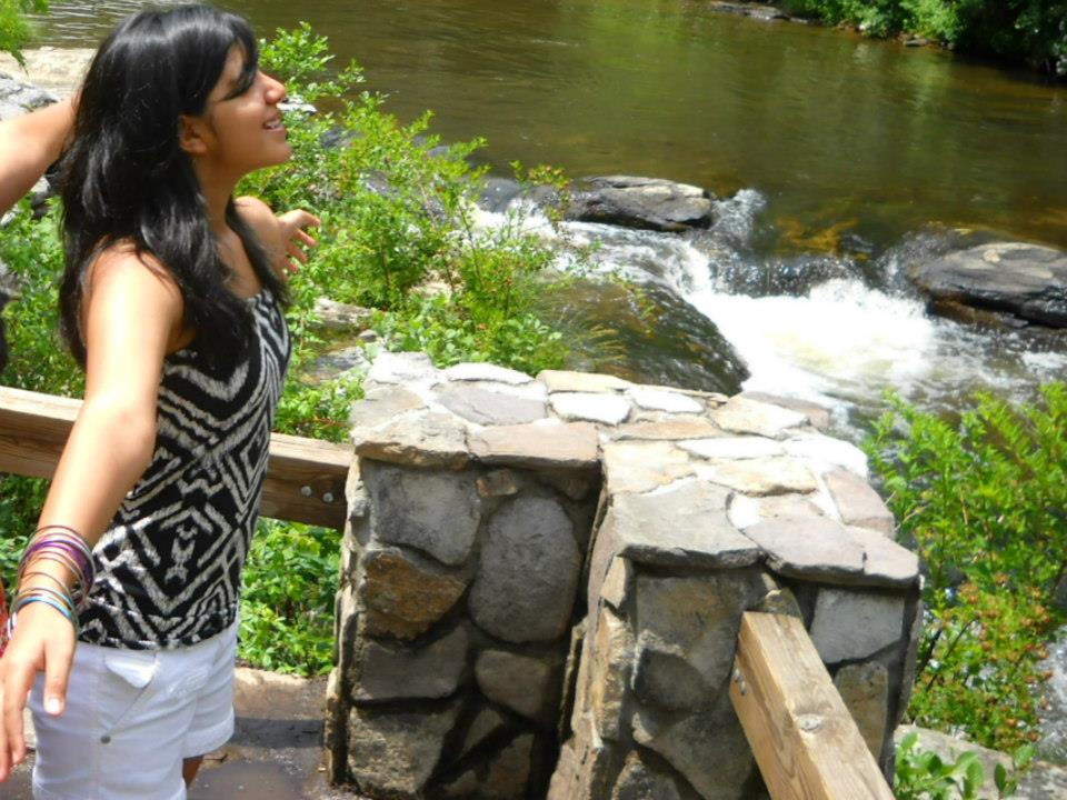 Approaches to the Principle of&nbsp;Gratitude